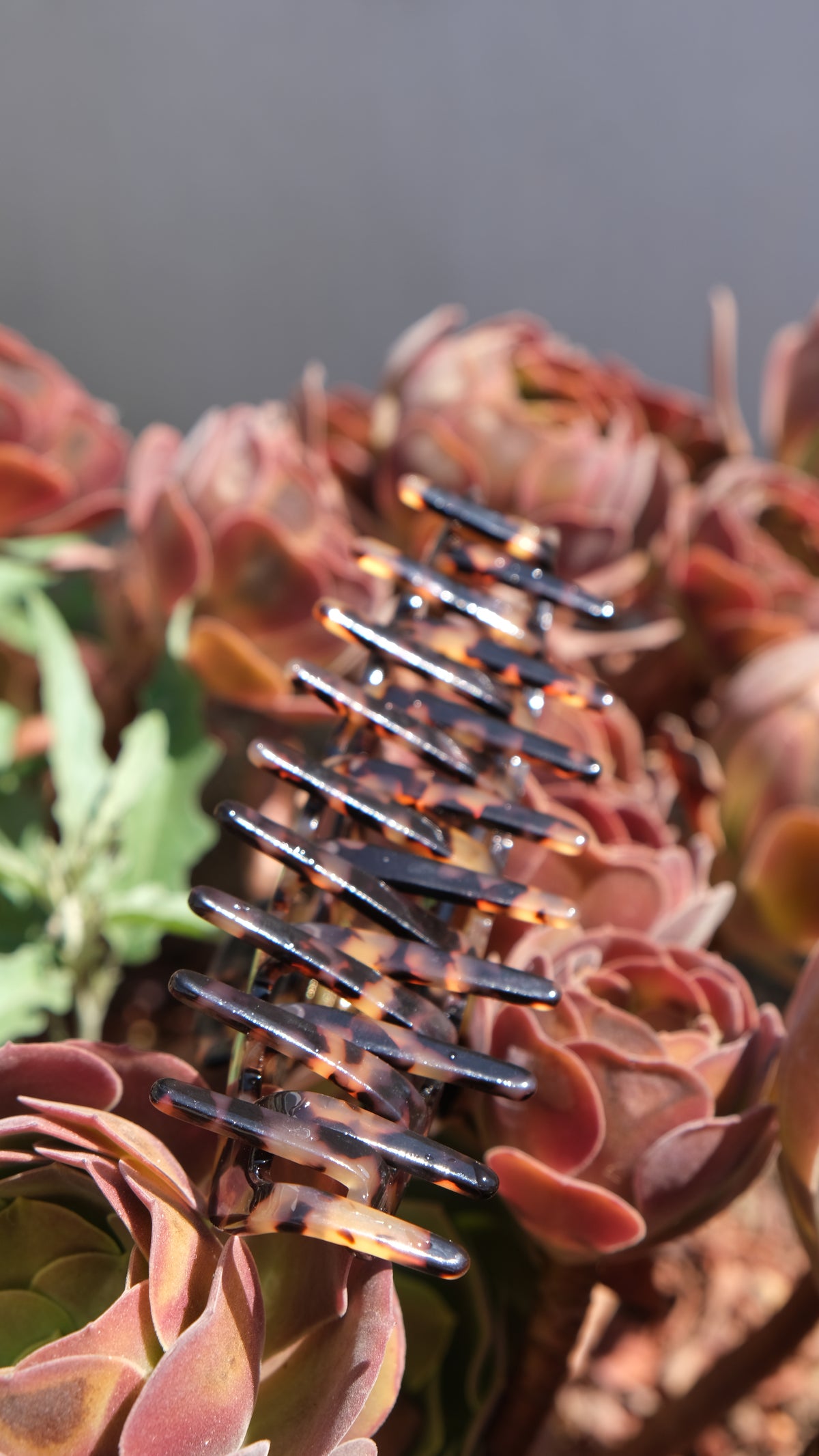 Avela XL claw clip in mediterrane setting